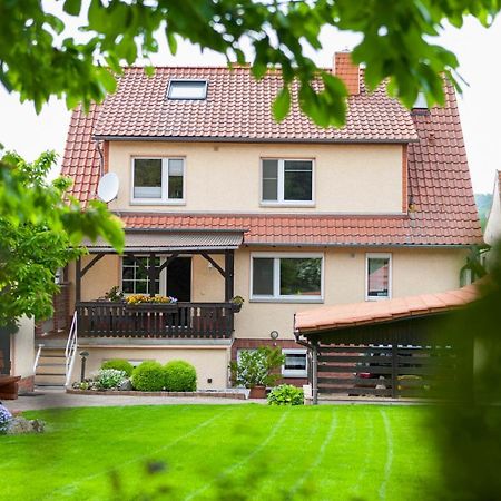 Ferienhaus Og1 "Westerwald Blick" Martinfeld Zewnętrze zdjęcie