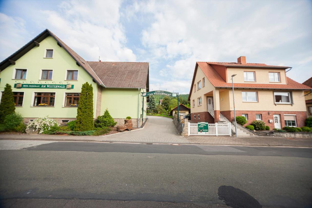 Ferienhaus Og1 "Westerwald Blick" Martinfeld Zewnętrze zdjęcie