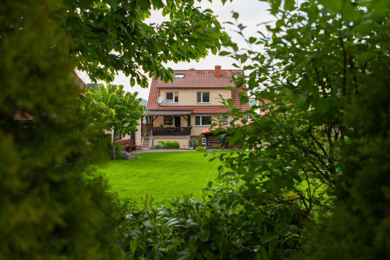 Ferienhaus Og1 "Westerwald Blick" Martinfeld Zewnętrze zdjęcie