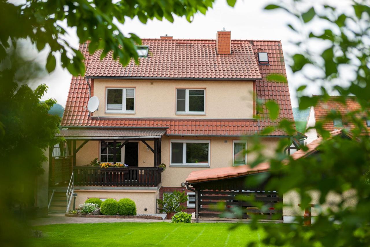 Ferienhaus Og1 "Westerwald Blick" Martinfeld Zewnętrze zdjęcie